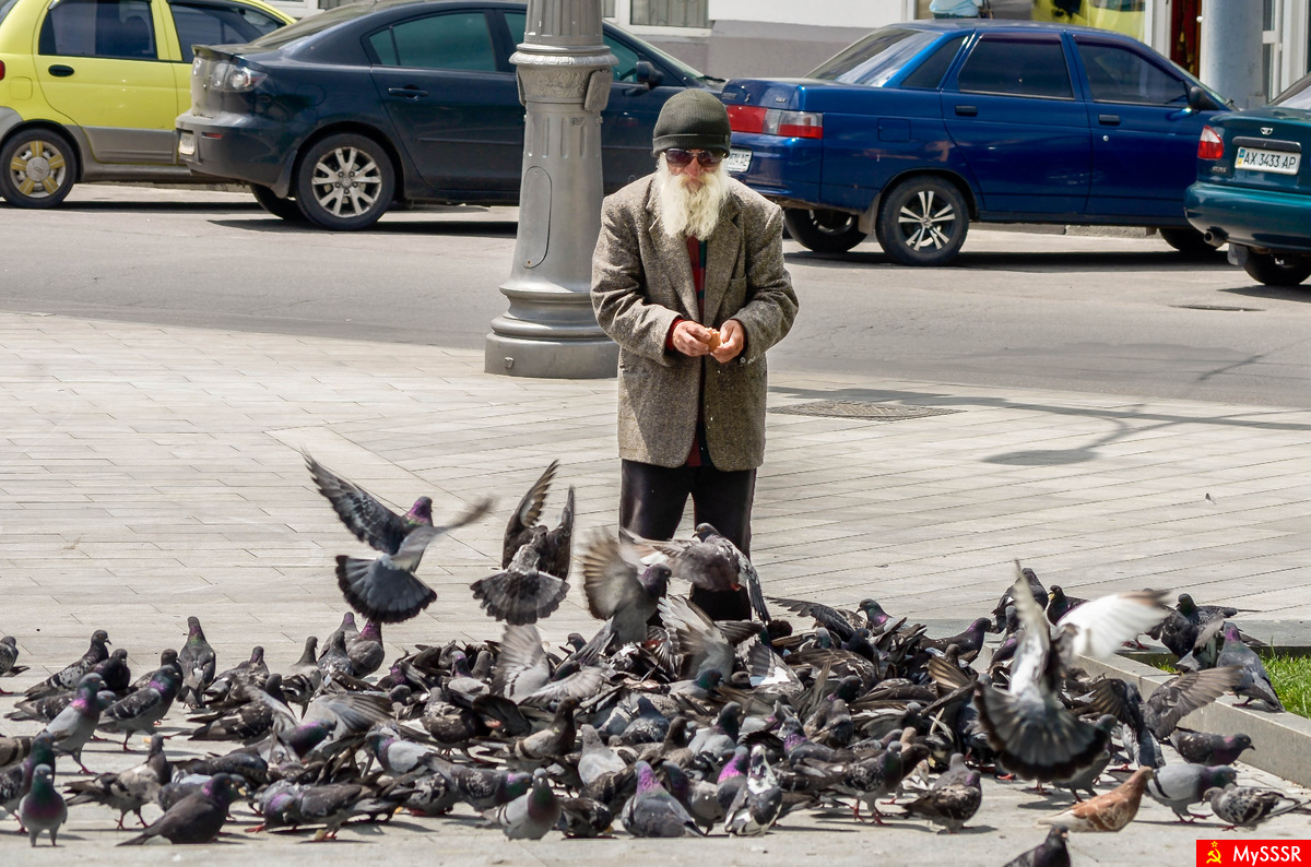 ZZ top  )))
